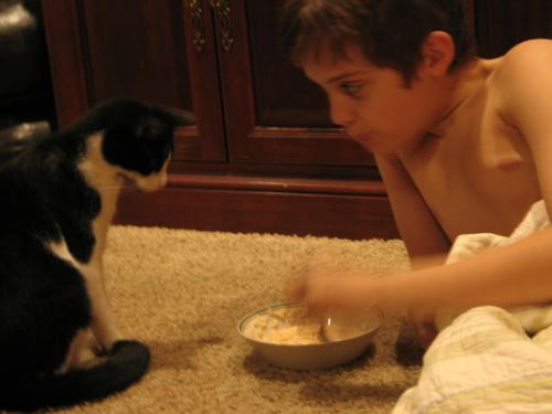 Katten stuga, and play_2230