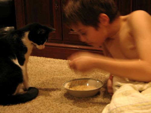 Katten stuga, and play_2231-1