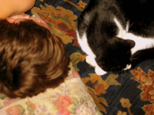 Katten stuga, and play_2240