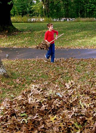 Inventions,colleges and home_2190