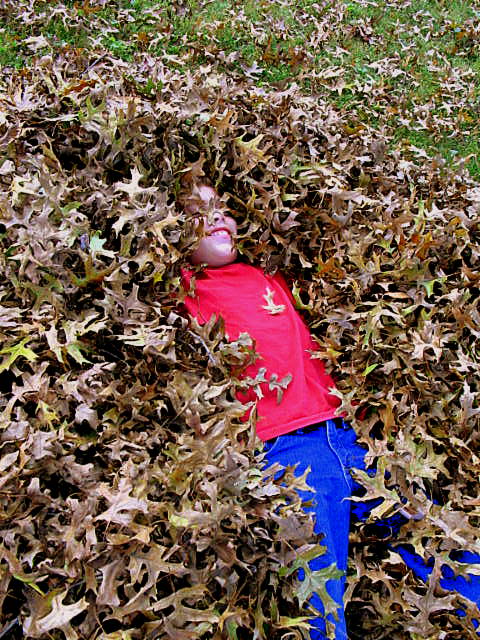 Inventions,colleges and home_2192