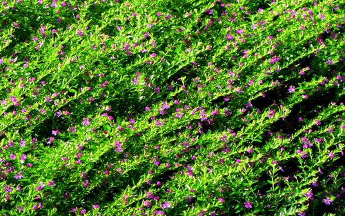 Inventions,colleges and home_2177