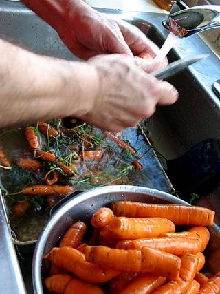 Visby day 3, Gotland,home_1462