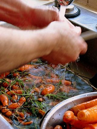 Visby day 3, Gotland,home_1456