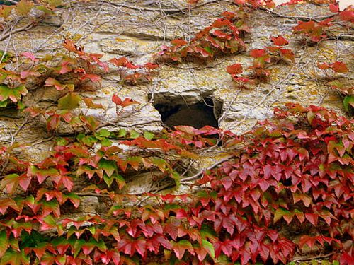 Visby day 3, Gotland,home_1618