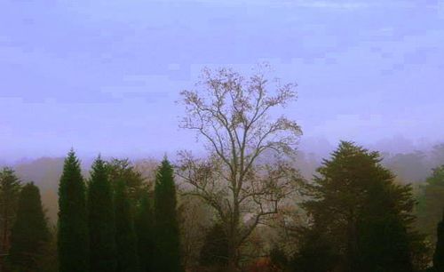 Absolutly, that was a good idea and I still think it is a good possibility for the company. But I think we have to focus on that project. Di_3021