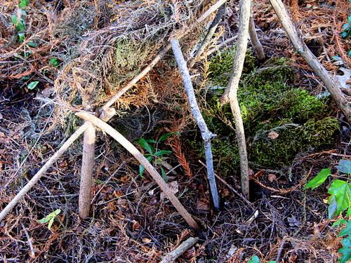 Fairy house recital_2815