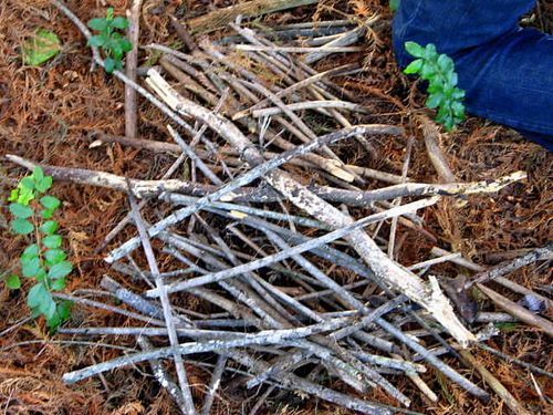 Fairy house recital_2806