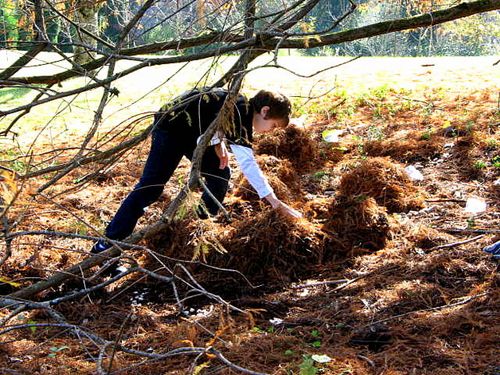 Fairy house recital_2823