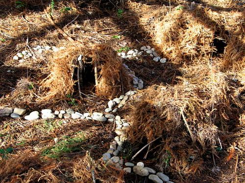 Fairy house recital_2835