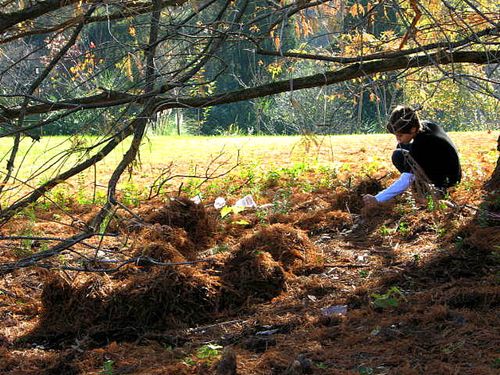 Fairy house recital_2848