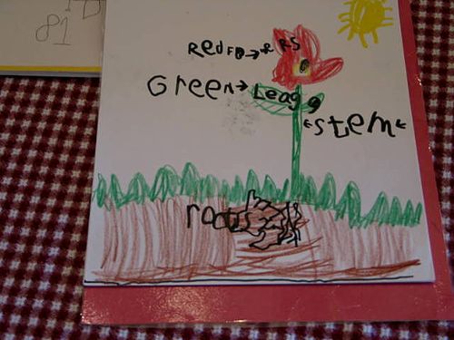 Books and library_2585