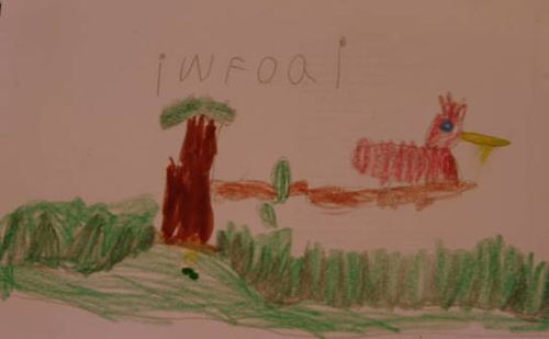 Books and library_2587