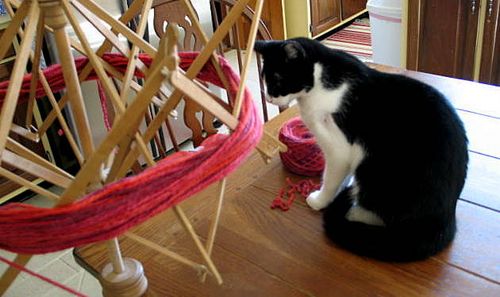 Halloween,Fall,JIAB,Yarn_2500