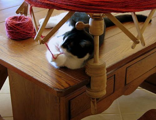 Halloween,Fall,JIAB,Yarn_2511