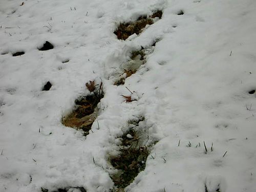 Jul blogs snow_3297-1