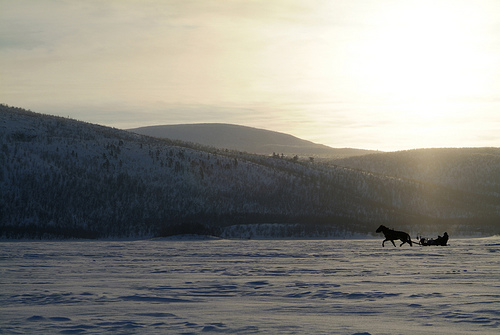 2980328093_c7881948d9