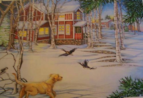 Chocolate cake cookies_3405