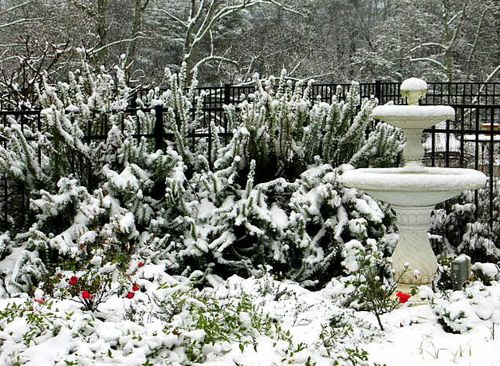 Jul blogs snow_3325-1