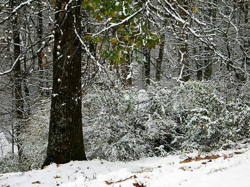 Jul blogs snow_3299-1