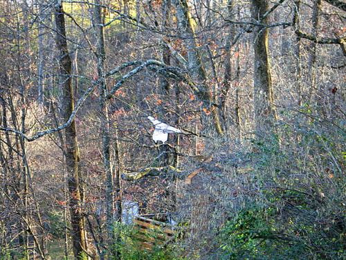 Vintage and Snow_3185