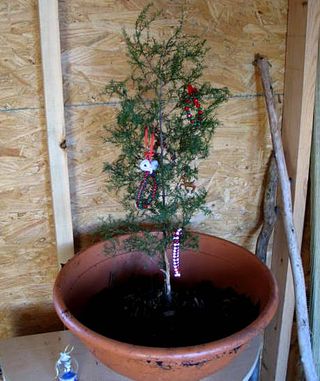 Vintage and Snow_3190