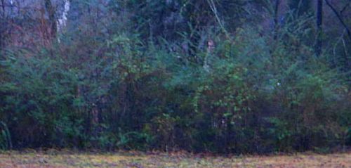 Crafts,books,garden_3841