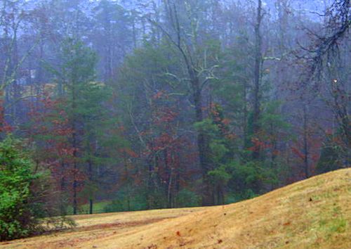 Crafts,books,garden_3830