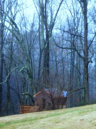 Crafts,books,garden_3845