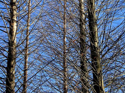 The Un Rainy Day_3800