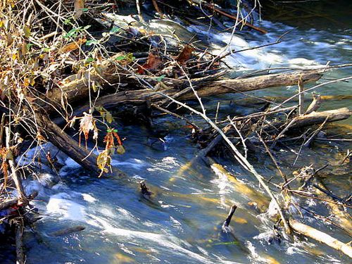 The Un Rainy Day_3794