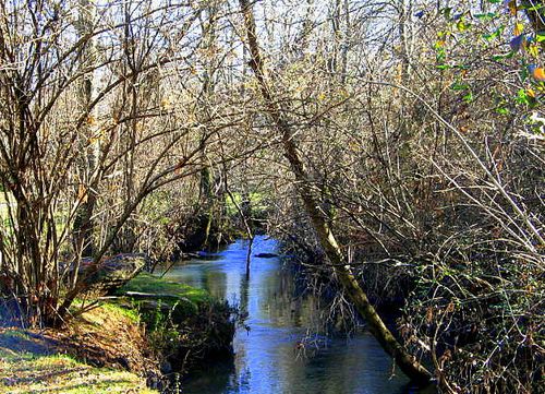 The Un Rainy Day_3799