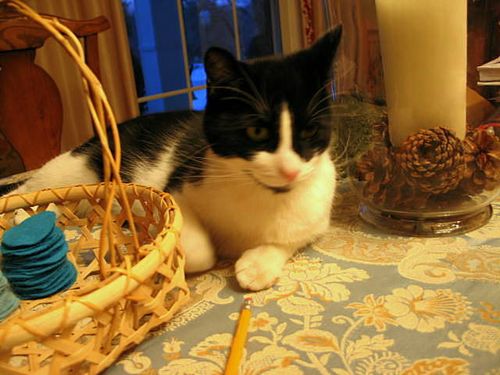 Snow and felt_3738-1