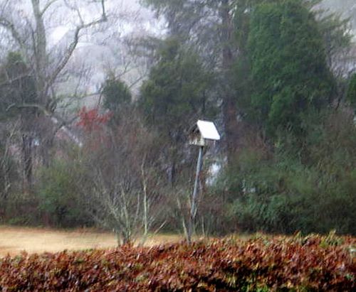 Crafts,books,garden_3828