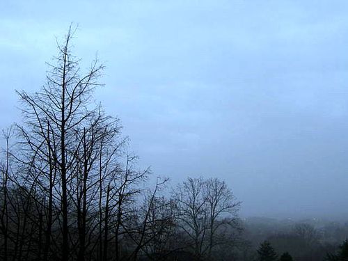 Crafts,books,garden_3827