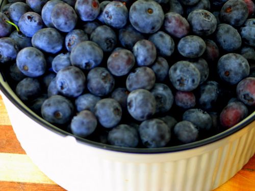 Blueberries and piano_1114