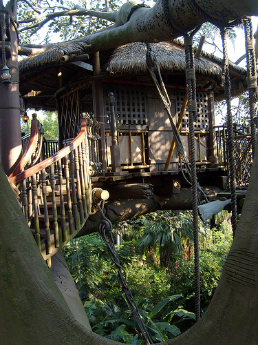 Swiss family robinson
