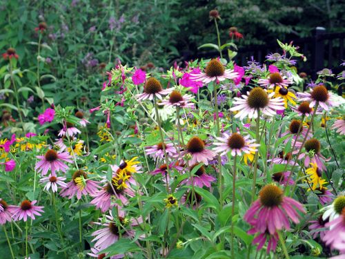 A stolen moment_0602_edited-1