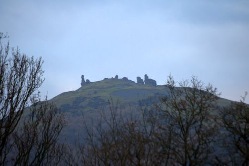 DSC_0192