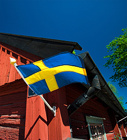 Swedish Flag 4