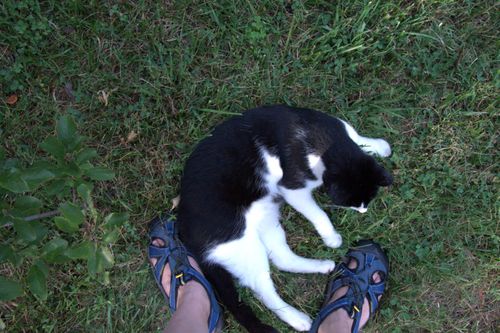 DSC_0007-1 DSC_0007-1