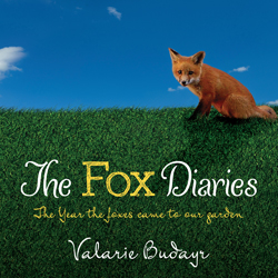 Fox Diaries flat cover