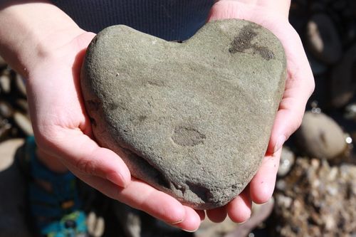 Following-in-their-footsteps-8