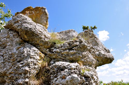 DSC_0162_2 DSC_0162_2