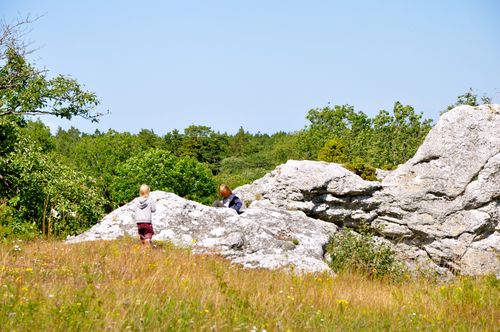 DSC_0178_2 DSC_0178_2