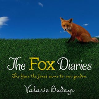 Fox Diaries flat cover